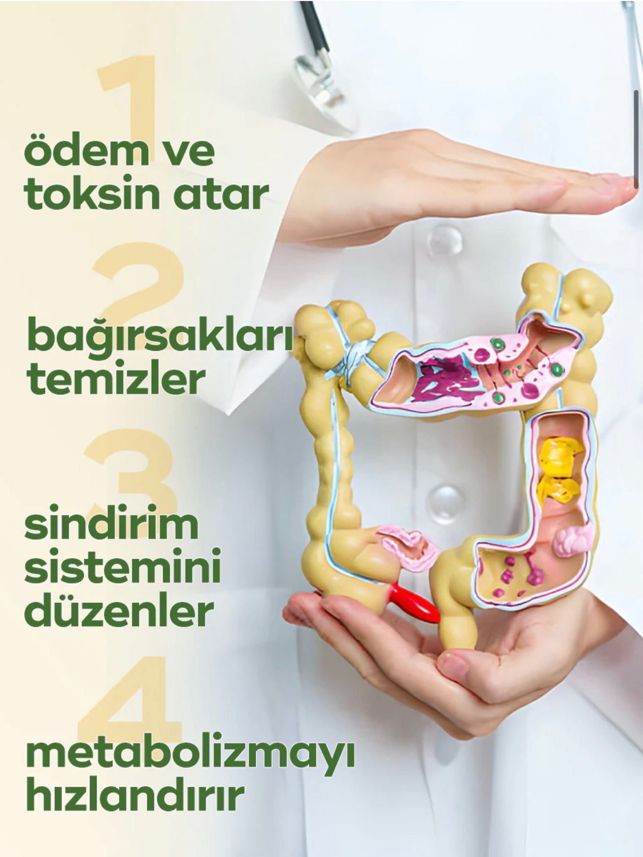 Zühre Ana Bromelaïnesiroop 250 ml