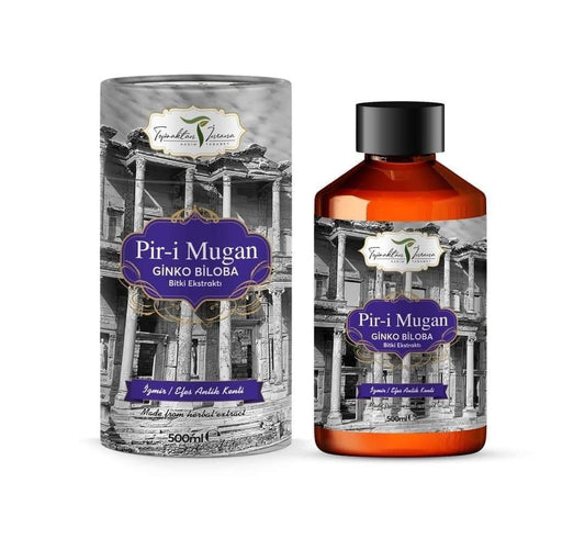 PİR-İ MUGAN GİNKGO BİLOBA EKSTRAKT