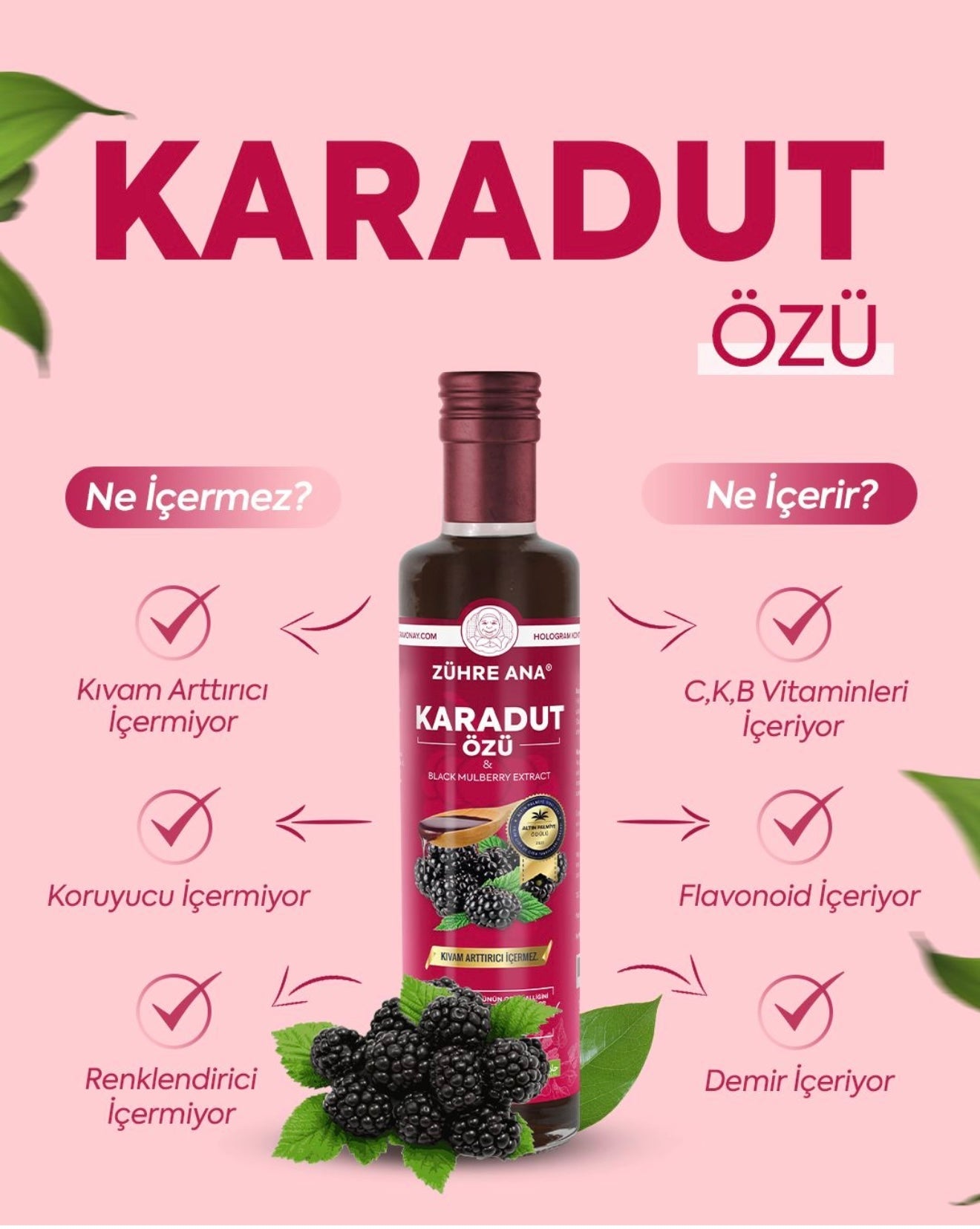 Zühre Ana Zwarte Moerbeiextract 670 g